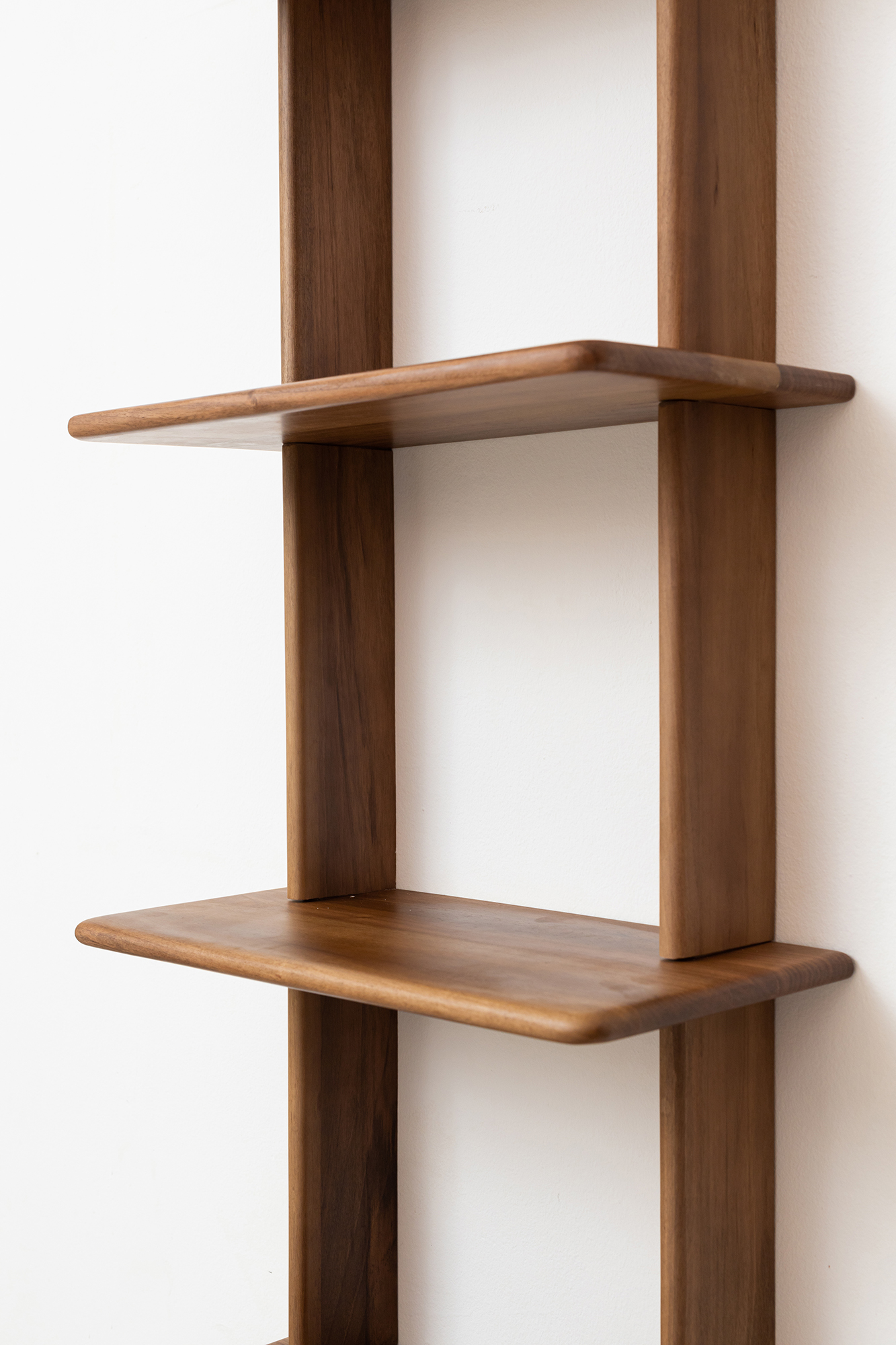 WHAT WE WANT SOLIDWOOD SHELF ウォールナット Solid wood shelf by Charlie Pommier